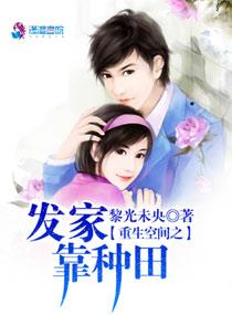 盛世可长安 金色飞贼