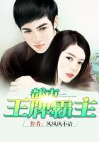 入赘王婿全文阅读